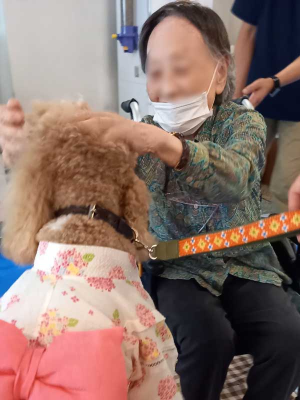 ドッグセラピー