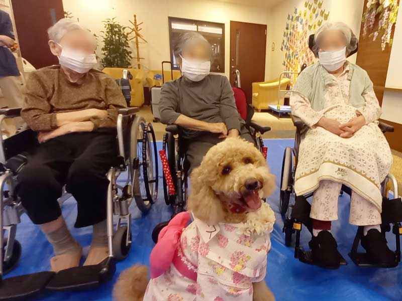 ドッグセラピー