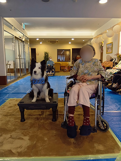 ドッグセラピー