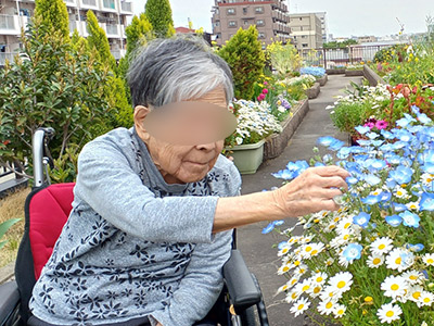 屋上散策