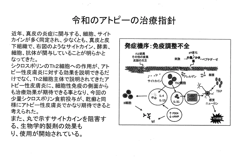 図2