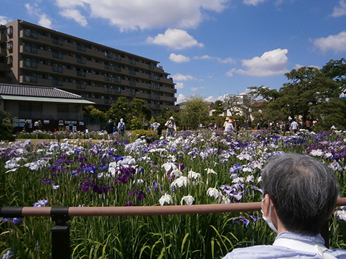 イベント写真