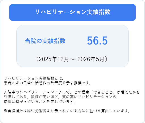 実績
