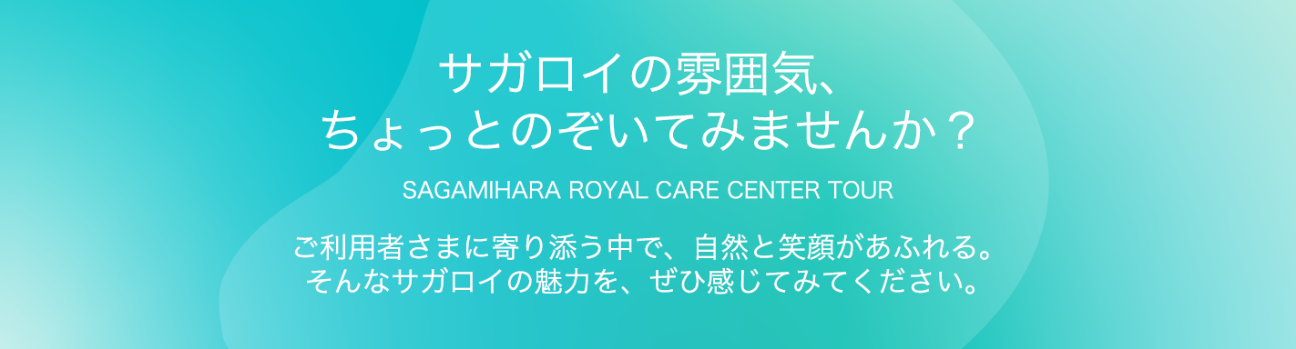 サガロイの雰囲気を見てみませんか？